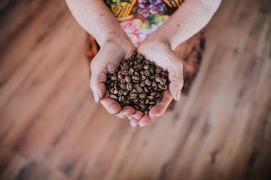 new orleans coffee beans